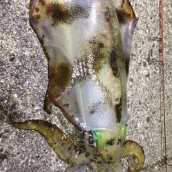 大汗かきました