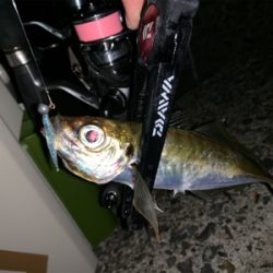 二刀流デビュー