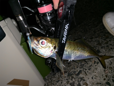 二刀流デビュー