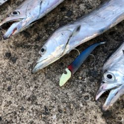 真夜中ワインド