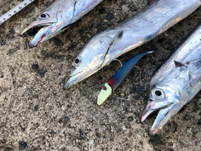 真夜中ワインド