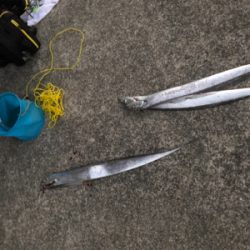 あのルアーでタチウオ爆