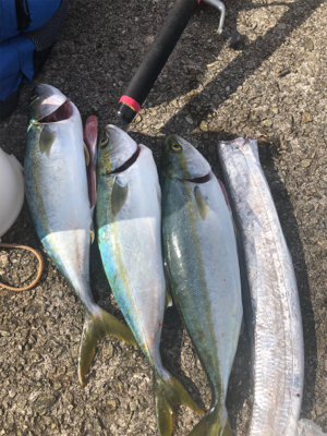 ケーソン初参戦