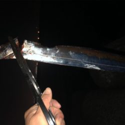 今日は連れら数人と…