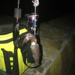 寒い中でのヒイカ釣りσ(^_^;)