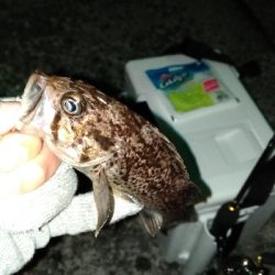 酒の肴を釣りに