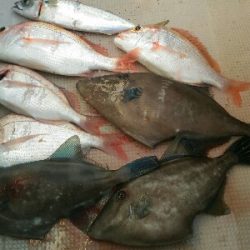 小浜市犬熊・第7佐藤丸さんにて