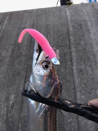 武庫一ワインド2