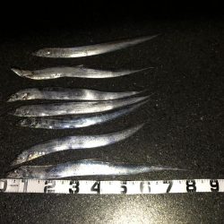 初のポイントで