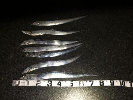 初のポイントで