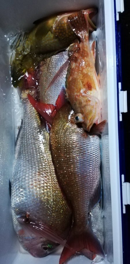 丹後タイラバ＆ジギング