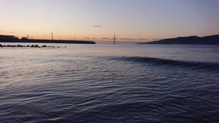 カゲロウはサヨリの代わりになりますか？