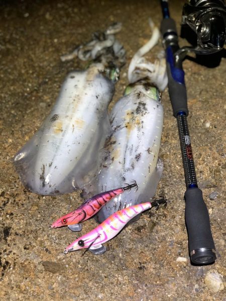 南紀遠征しました！