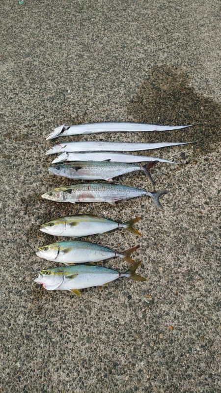 秋の3種コンプリート