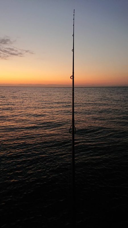 サーフヒラメ シーズン到来!?