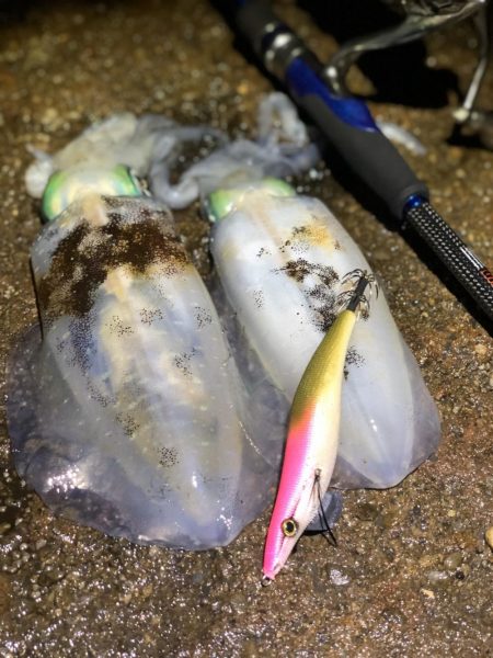 変化がある場所