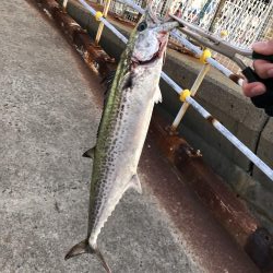 人生初南港海釣り公園