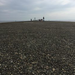 四日市沖堤防でショアジギング