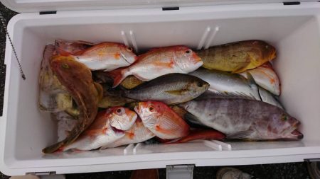 ライトジギングで初釣果