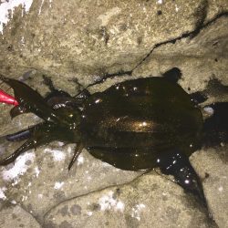 スーパーシャロー