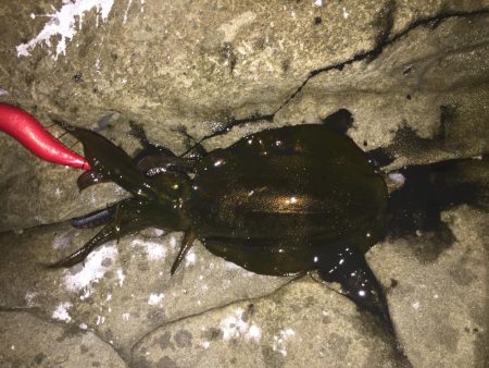 スーパーシャロー