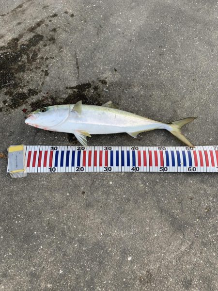 ショアジギング