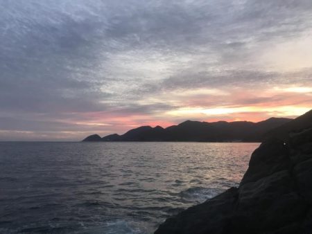 アコウ？だよね？