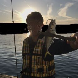 家族でサビキではなくアジング