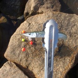 冷え込みの影響？