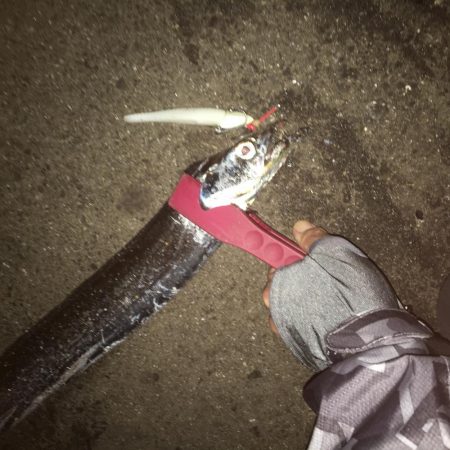 とりあえず…暴風銀様