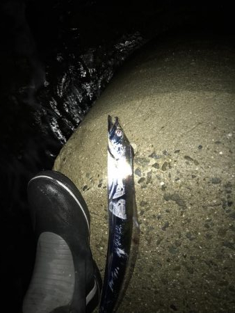 シーズン終盤か