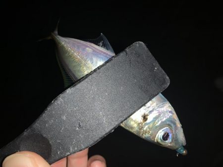 アーバンサイドアジング