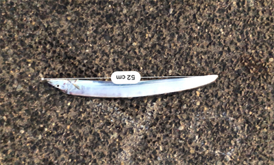 タチウオ、ツバス釣れたが。。。渋い