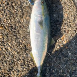 ガツンとアタリが欲しくて❗️