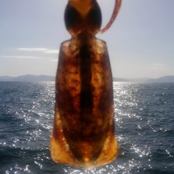 厳しさは変わらず？