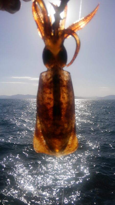 厳しさは変わらず？