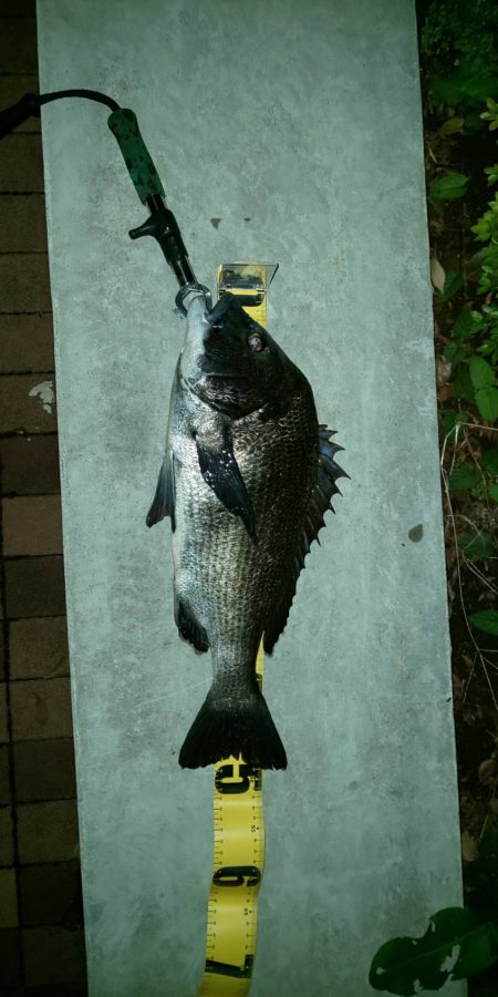 寒くなる前に　~辰巳橋~