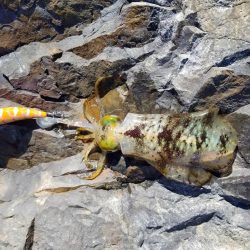 いろいろ厳しかった、、