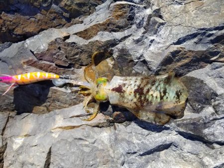 いろいろ厳しかった、、