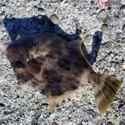 ハギングっていうのかな?