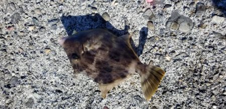 ハギングっていうのかな?