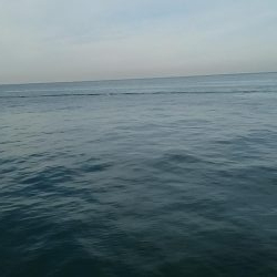 岸一 不完全燃焼