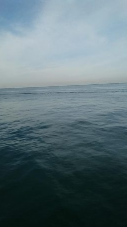 岸一 不完全燃焼