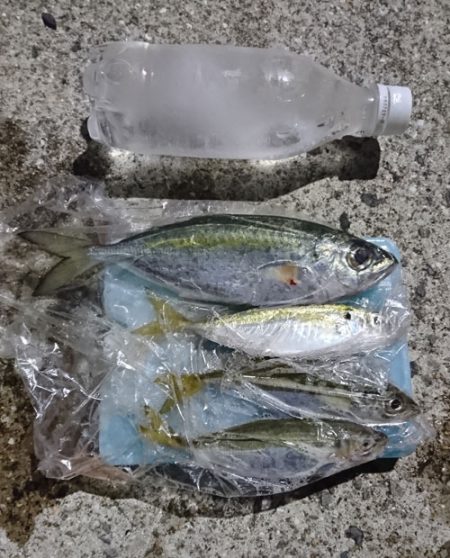 貧果ながらも嬉しい一匹