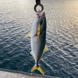 瀬戸内の島ショアジギング（2019-1）