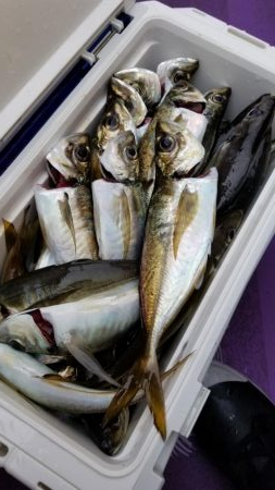 つり幸　アジ船