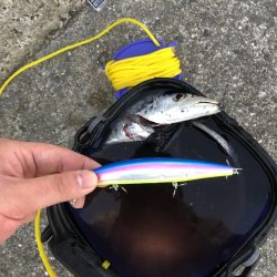 ボチボチかなぁ?