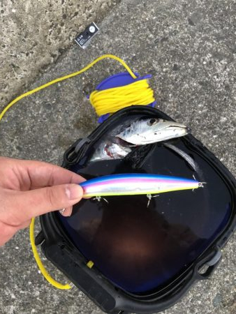 ボチボチかなぁ?