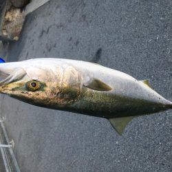 終わり良ければ全て良し