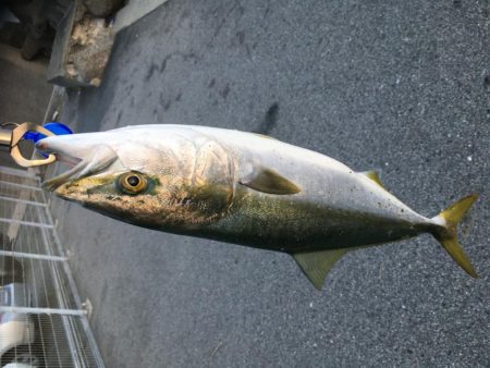 終わり良ければ全て良し